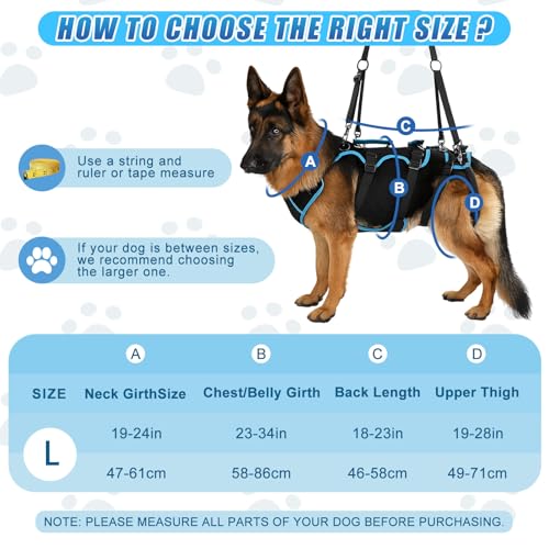 Yeyeplum Dog Lift Harness for Large Dogs, 2-in-1 Detachable Full Body Support Acl Dog Sling Carrier with 4 Handles, Hind Assist Back Leg for Senior, Disabled, Arthritic & Post-Surgery Canines(Large) - Image 2