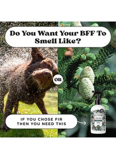 Poo-Pourri Pet-Pourri Dog Coat Deodorizing Spray - Plant Derived Ingredients - Vet Recommended - Fir + Amber + Cedarwood - Paraben & Sulfate-Free - Grooming perfume Spray for Dog Odor  - Image 5