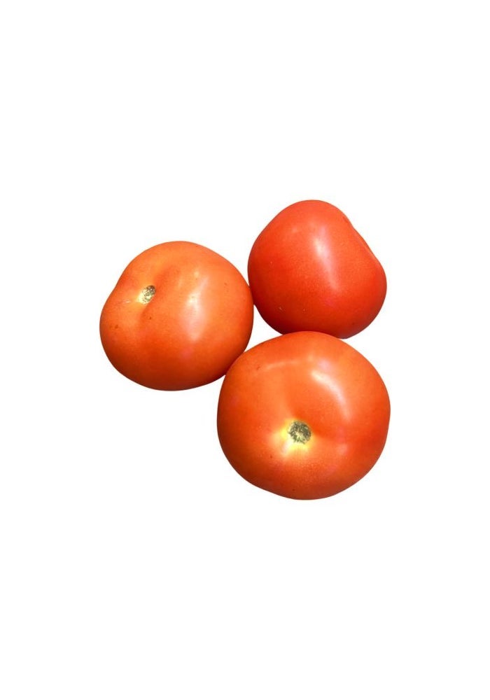 Round Tomatoes, 500g, UAE