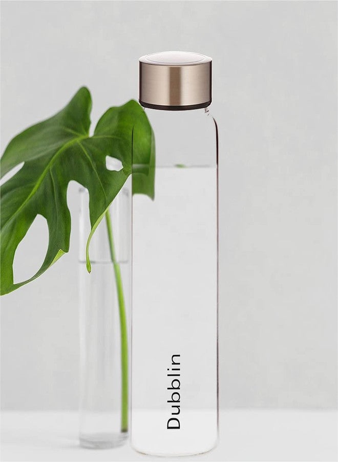 DUBBLIN Stream 1000 Borosilicate Glass Water Bottle, Steel Lid, 1000 ml (Pack of 1) - Image 3