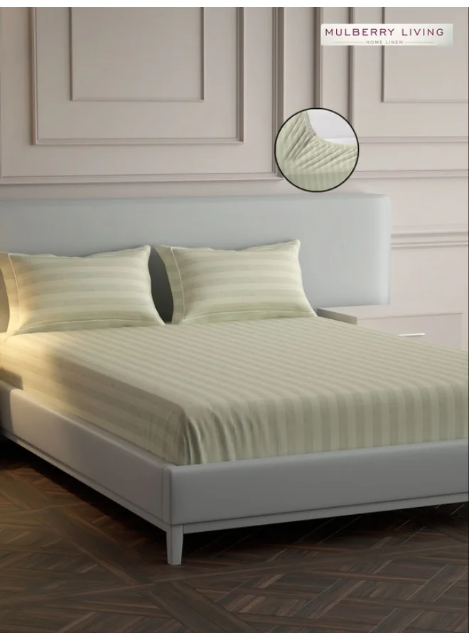 MULBERRY LIVING 100% Cotton - 300Tc Elysian Stripes King Size (180X200 Cms) Fitted Bedsheet With 2 Pillow Covers (50X75 Cm) - Ivory