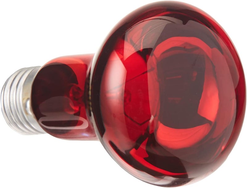 Trixie مصباح تريكسى للأشعة تحت الحمراء - 75 واط - Image 2