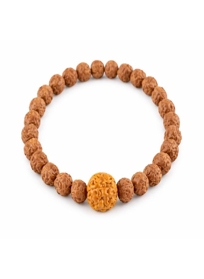 Chitshakti Panchmukhi Rudraksha Stretch Bracelet | 7 mm Natural Rudraksha Beads with 12 mm Guru Bead | Unisex Spiritual Bracelet - Image 1