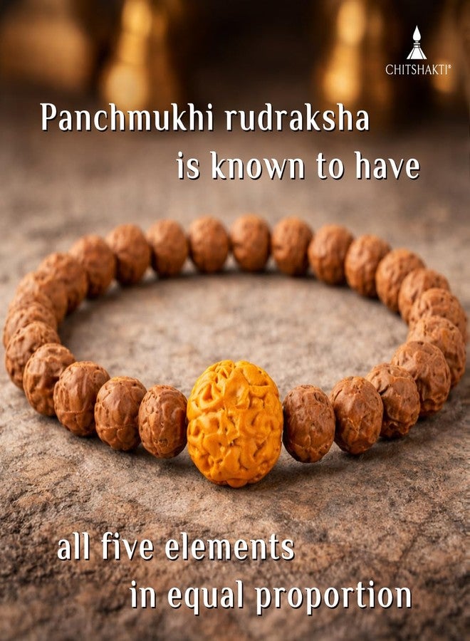 Chitshakti Panchmukhi Rudraksha Stretch Bracelet | 7 mm Natural Rudraksha Beads with 12 mm Guru Bead | Unisex Spiritual Bracelet - Image 2