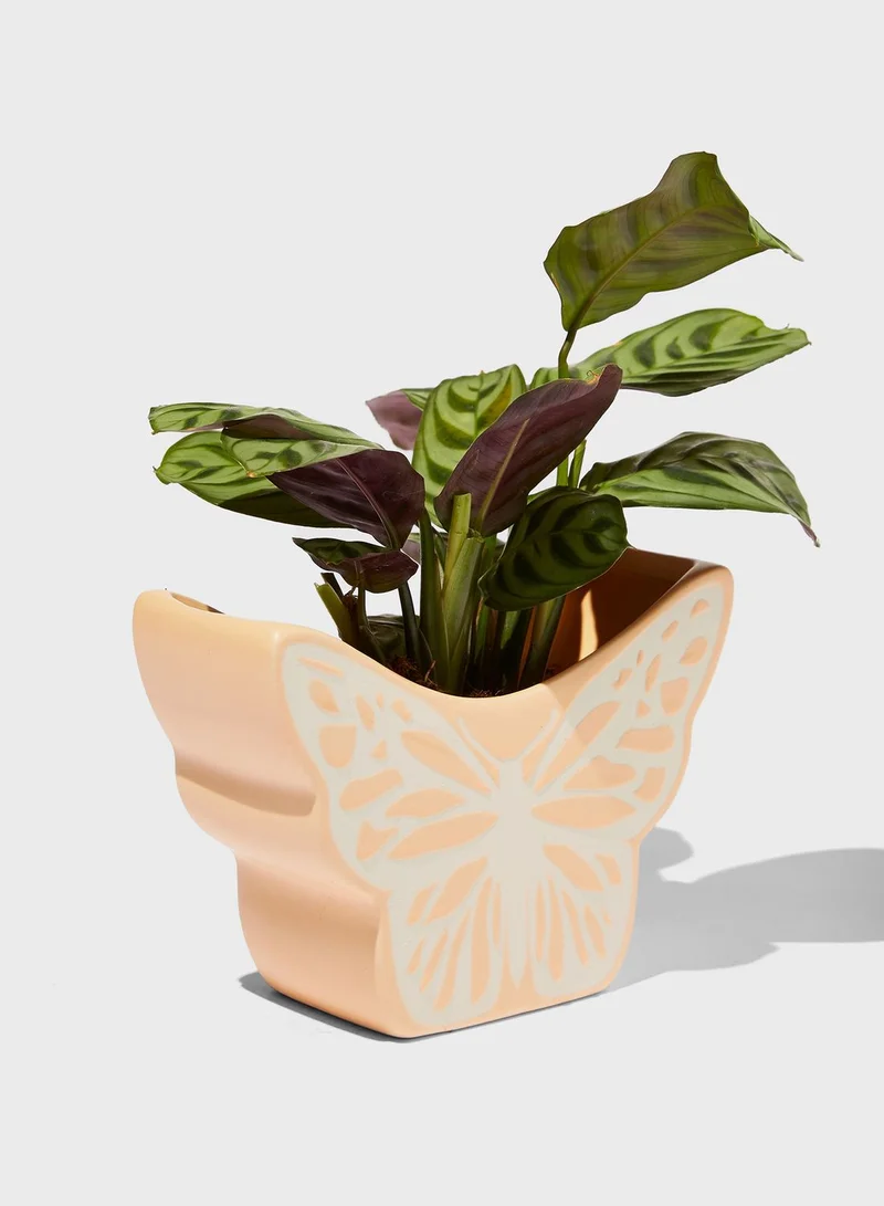 Typo Butterfly Pen Holder