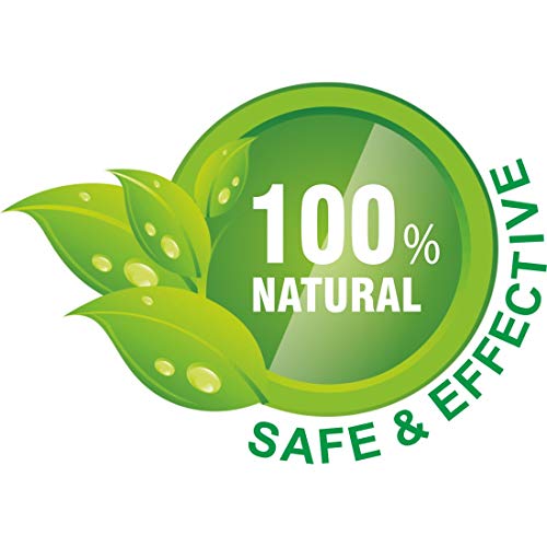 Nature Sure Combo Jonk Tail Leech Oil (110ml) & Jonk Shampoo Hair Cleanser for Men & Women (300ml) - Image 4