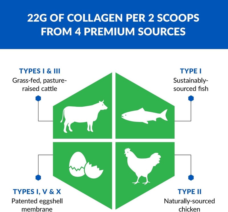 BioTrust Ageless Multi Collagen Peptides Powder  5 Types I II III V X  Unflavored Collagen Powder for Women  Men  Hydrolyzed Protein  Grass Fed Beef Fish Chicken Eggshell Membrane - Image 4