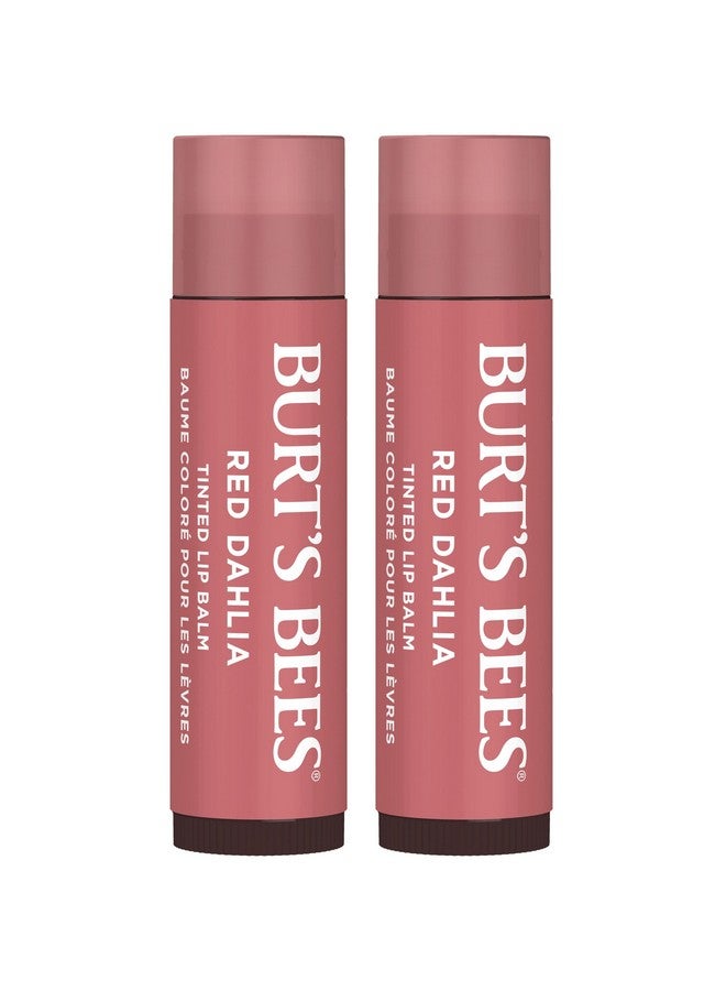 بيرتس بيز مرطب شفاه Burt's Bees Lip Tint Balm هدايا للجوارب، تركيبة مرطب شفاه 2 في 1 ثنائية اللون تدوم طويلاً، غني بالألوان مع زبدة الشيا المرطبة للحصول على لمسة نهائية طبيعية قابلة للبناء، زهرة الداليا الحمراء (عبوة من قطعتين) - Image 1