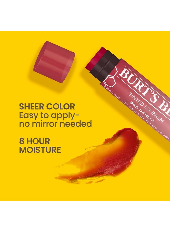 بيرتس بيز مرطب شفاه Burt's Bees Lip Tint Balm هدايا للجوارب، تركيبة مرطب شفاه 2 في 1 ثنائية اللون تدوم طويلاً، غني بالألوان مع زبدة الشيا المرطبة للحصول على لمسة نهائية طبيعية قابلة للبناء، زهرة الداليا الحمراء (عبوة من قطعتين) - Image 3