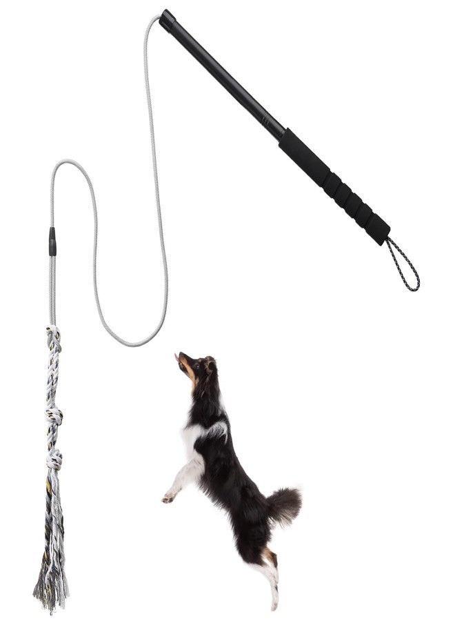 ABtool Flirt Pole for Small Medium Dogs,Interactive Chase and Tug of War Outdoor Dog Toys,Heavy Duty Dog Teaser Wand Chase Toys with Rope,Durable Flirt Stick Pole for Dogs Outside Agility Exercise & Training - Image 1