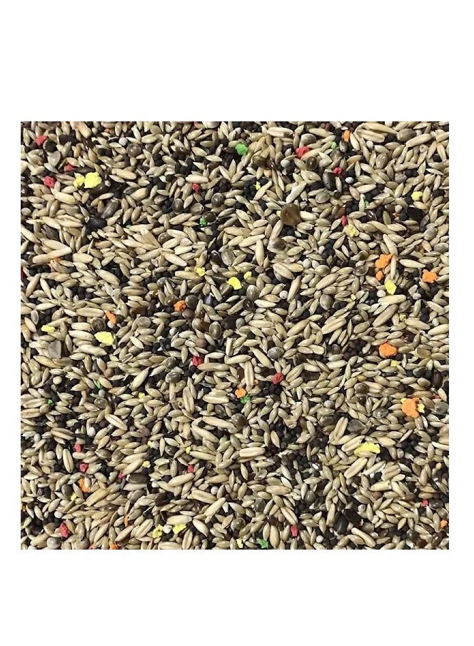 Tuki Bird Food for Canary – 650g | Natural & Healthy Premium Mix Seeds, | Daily Canary Food Seeds| All Life Stages - Image 2