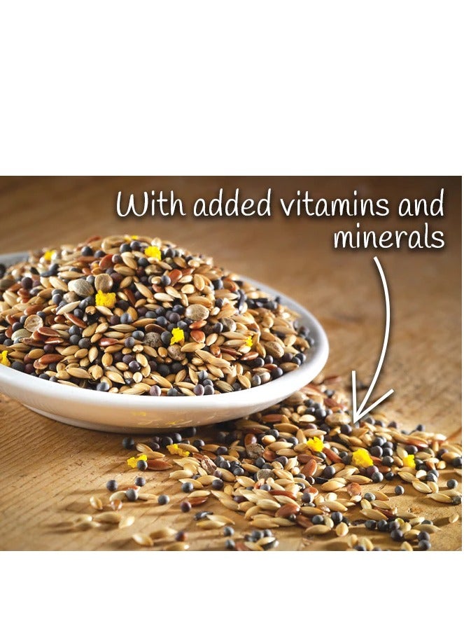 Tuki Bird Food for Canary – 650g | Natural & Healthy Premium Mix Seeds, | Daily Canary Food Seeds| All Life Stages - Image 3