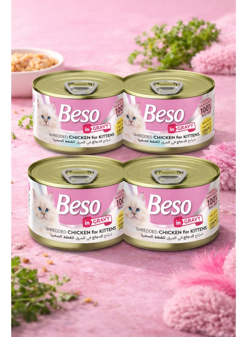Shredded Chicken for kittens in Gravy 100% Real Meat Grain-Free Formula Specially Formulated for Growing Kittens Multipack Cans