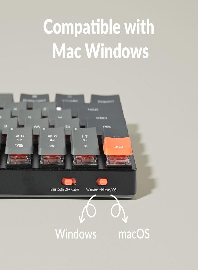 Keychron K3 Version 2, 84 Keys Ultra-Slim Wireless Bluetooth/USB Wired Mechanical Keyboard with White LED Backlit, Low-Profile Keychron Mechanical Red Switch Compatible with Mac Windows - Image 3