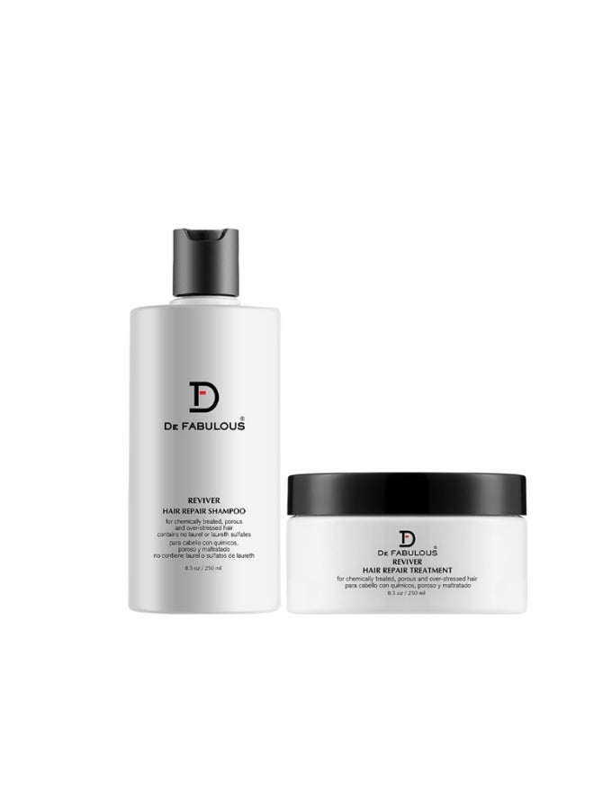De Fabulous Reviver Hair Repair Shampoo 250ml & Treatment 250ml Combo | Sulphate-Free | pH Balanced | For Dry & Frizzy Hair - Image 1