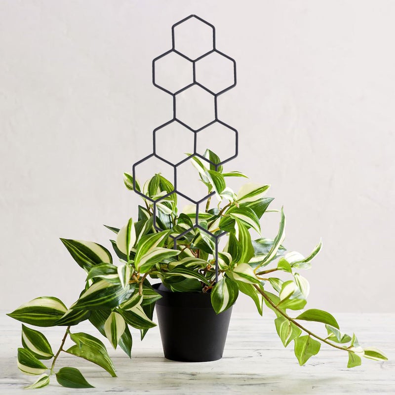 WellSign Small Trellis for Potted Plants, 15.94 inch Metal Plant Trellis for Climbing Plants Indoor Pot Honeycomb Shape Lattice for Ivy Vines Hoya Houseplants Flower 2 Pack - Image 5