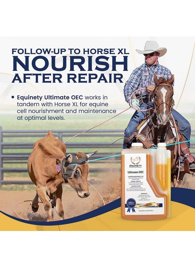 Equinety Ultimate OEC - Horse Supplements & Hoof Supplements for Horses - Omega 3 with Flax Seed, Horse Oil, Vitamin E for Horses & Coat Defense for Horses - Vet-Approved Horse Joint Supplement & Hoof Oil  - Image 2