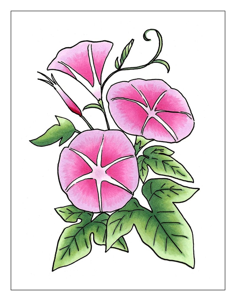 Copic Sketch, Alcohol-based Markers, 3pc Set, Color Fusion #2, Pink - Image 2