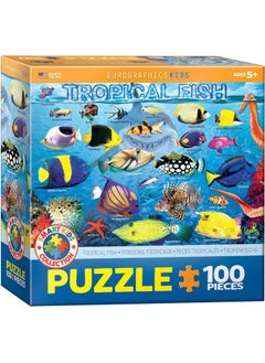 eurographics Tropical Fish 100 Pieces Puzzle Multicolor 