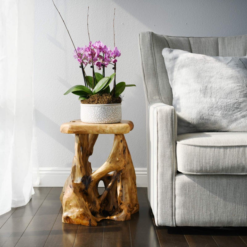 WELLAND Natural Tree Stump Stool, 19'' Tall Side Table, Live Edge Stool, Natural Edge End Table, Accent Table, Plant Stand for Living Room, Bedroom, - Image 5