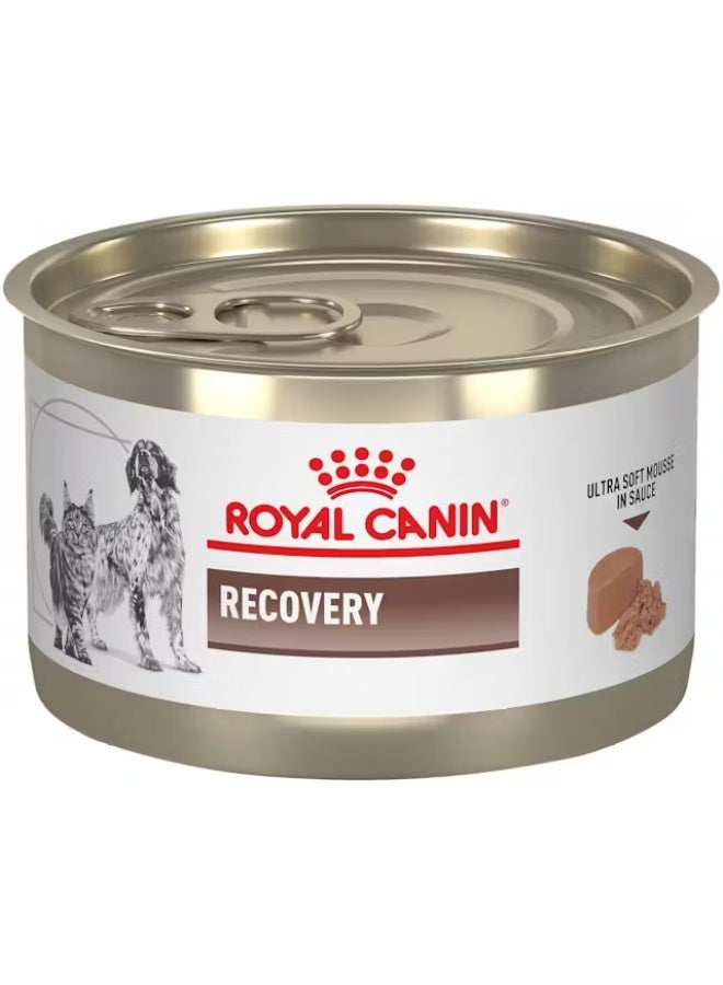 رويال كانين Royal Canin Recovery Liquid Can for Dogs and Cats, 195 g All Life Stages