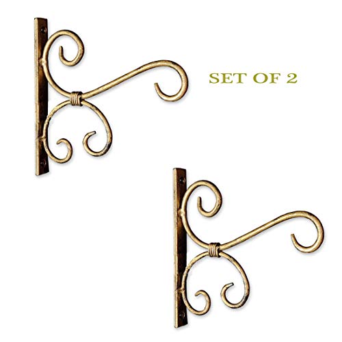Decorlay Metal Golden Wall Hanging Plant Holder | Wall Hanger Bird Feeder Home Decor Items Hanging Baskets for Room Decor (7.5 x 1 x 8 Inches) | Golden | (Set of 2) - Image 2