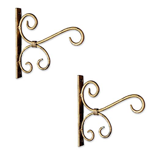 Decorlay Metal Golden Wall Hanging Plant Holder | Wall Hanger Bird Feeder Home Decor Items Hanging Baskets for Room Decor (7.5 x 1 x 8 Inches) | Golden | (Set of 2) - Image 1