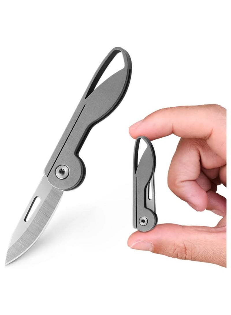 Titanium Alloy Mini Folding Pocket Knife, EDC Keychain Cutter, Compact Utility Knife for Men and Women (Titanium Handle / 5Cr13 Steel Blade) - Perfect Gift Idea! - Image 1