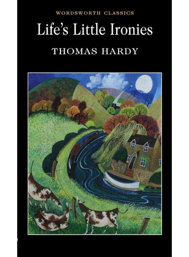 Life s Little Ironies - Paperback