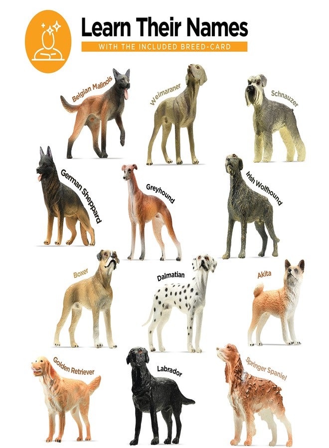 stargo Friendly Dog Figurines for Kids and Toddlers - Plastic Dogs Set of 12 Realistic Play Figures - Non-Toxic Cake Topper, Farm Animal Figurines, 3.5"x5", Age 3+ - Image 2