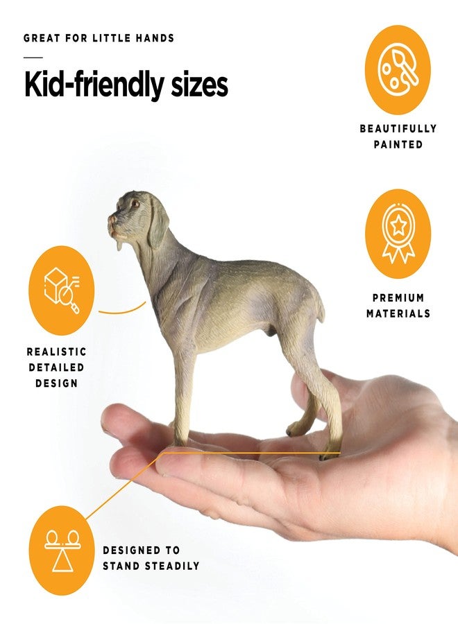 stargo Friendly Dog Figurines for Kids and Toddlers - Plastic Dogs Set of 12 Realistic Play Figures - Non-Toxic Cake Topper, Farm Animal Figurines, 3.5"x5", Age 3+ - Image 3