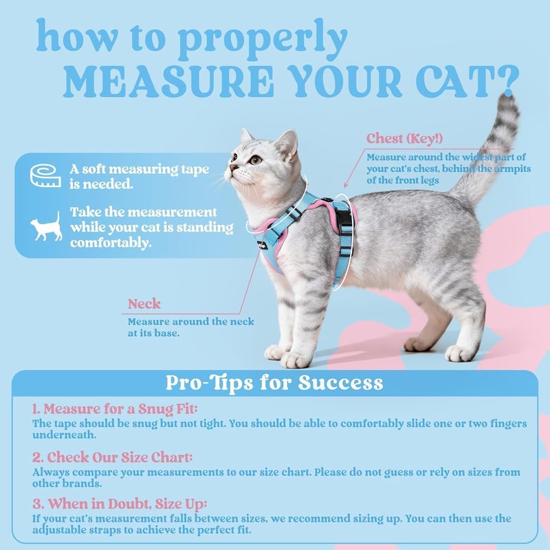 Rabbitgoo Cat Harness and Leash Set, Escape Proof Vest, S, Light Blue & Pink | 4 Adjustable Points, Quick-snap Buckles, All-weather Mesh, Secure Clip, Reflective Strips, for Average Adult Cats Outings - Image 2