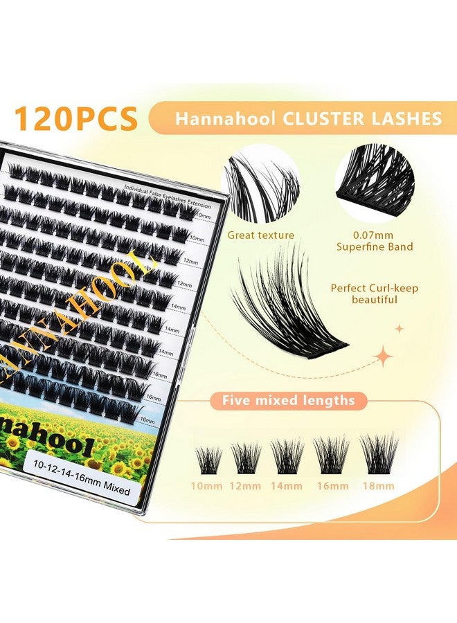 Hannahool 10Rows,Large Pack Grafting Mixed 10-12-14-16mm/14-16-18mm/12-14-16mm Wide Stem Cluster Eyelashes D Curl Individual False Eyelashes Home DIY Eye Lashes Extensions (mixed 14-16-18mm) - Image 3