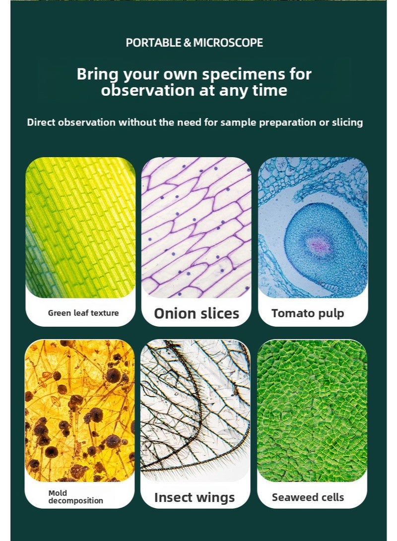 Children's Handheld Microscope，60-180X High-definition and portable，Outdoor science observation educational toys - Image 5