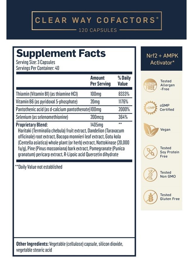 Quicksilver Scientific Clear Way Cofactors - Body Detox Cleanse Support with Vitamin B1, Dandelion Extract, Quercetin & Nattokinase Enzyme - Antioxidant Cleanse to Support Gut Health (120 Capsules) - Image 4