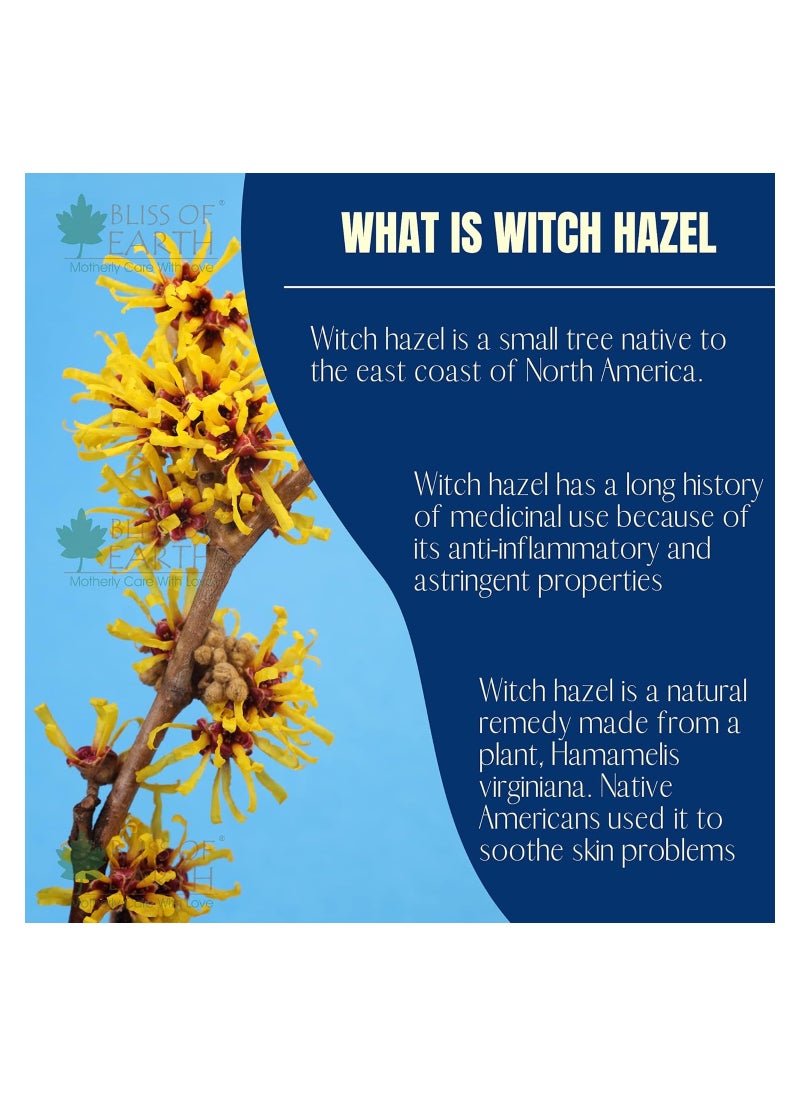 BLISS OF EARTH - Witch Hazel Gel For Acne Hemorrhoids and Puffy Eyes 100GM Pack of 5 - Image 1