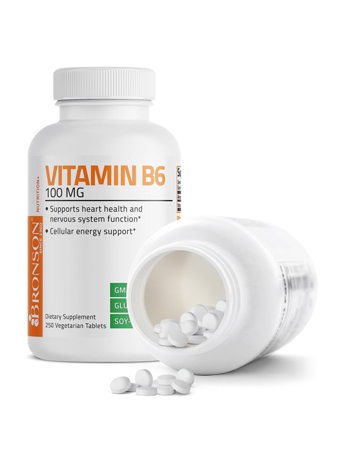 Bronson Vitamin B6 100 mg Premium Vitamin B6 Supplement – Promotes Protein Metabolism and Immune Function - 250 Tablets  - Image 3