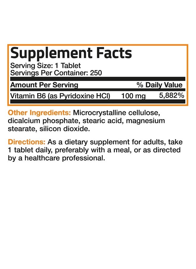 Bronson Vitamin B6 100 mg Premium Vitamin B6 Supplement – Promotes Protein Metabolism and Immune Function - 250 Tablets  - Image 4