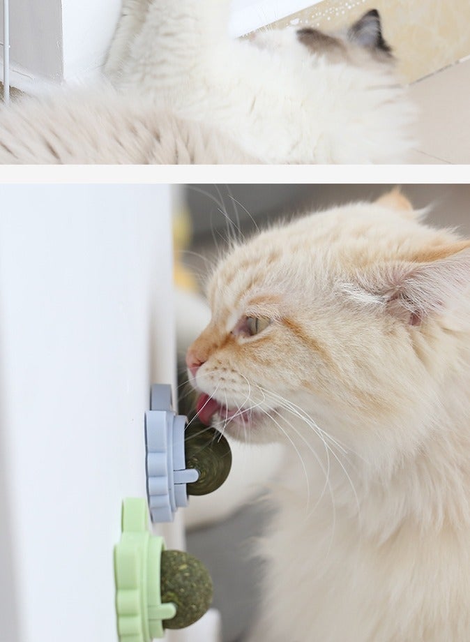 general 3-Piece Set Cartoon Cat Ear Rotating Catnip Ball Self-Adhesive Wall-Mounted Cat Self-Entertainment Toy Teeth Grinding Tool Teeth Cleaning Kitten Toy - Image 5
