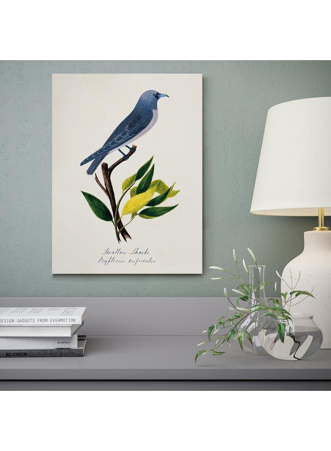 إيروريكس صورة، طائر أزرق، 30×40 سم - Image 2