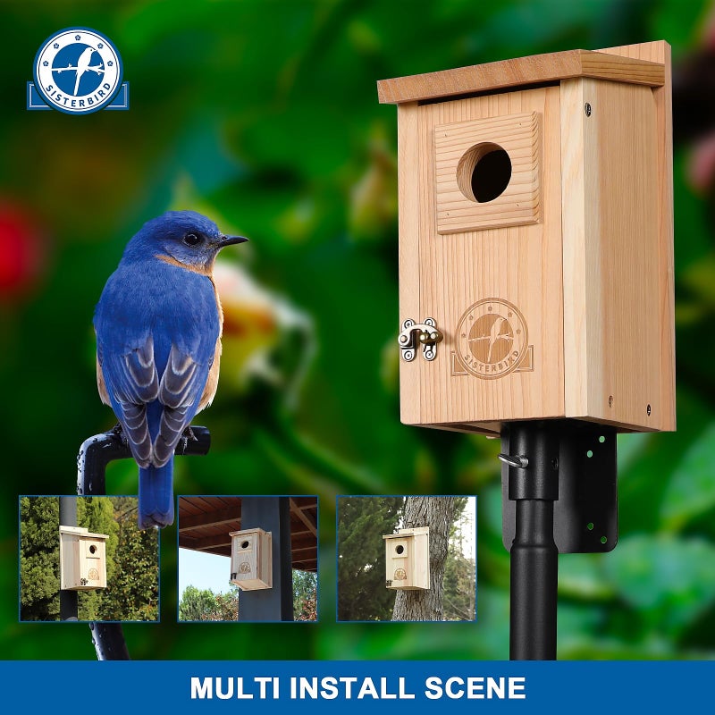 SISTERBIRD Bluebird Houses for Outside, Blue Bird Houses for Outdoors, Premium Bird House, Pack of 2 Bluebird House, Wooden Birdhouses Kits for Adults for Durable Yard Decor - Image 2