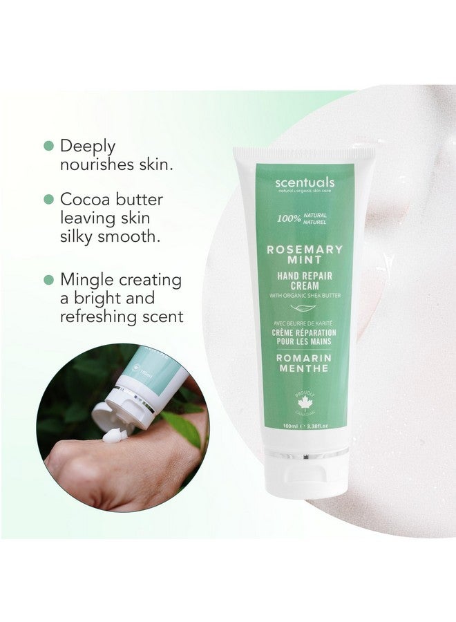 Scentuals Hand Cream With Rosemary & Mint Essential Oil Shea Butter Cocoa Butter Argan & Almond Oil Vitamin E And Aloe Vera For Moisturizing Dry Hands Cruelty Free Natural Skin Care 100 Ml 3.4 Fl.Oz - Image 2