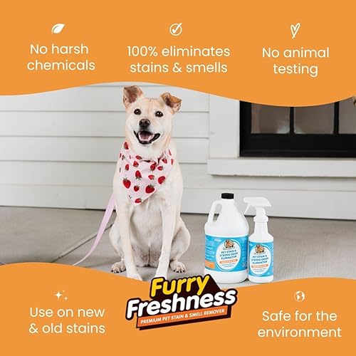 FurryFreshness Extra Strength Cat or Dog Pee Stain & Permanent Odor Remover + Smell Eliminator -Removes Stains From Pets & Kids Including Urine or Blood- Lifts Old Carpet Stains- (2 Pack) - Image 4