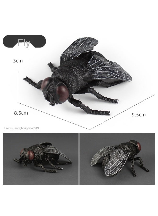 NIBEMINENT Children's Realistic Insect Toy Models