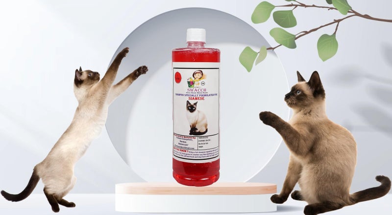 Swacch Shampoo Specially Formulated for Siamese (1 Litre) Jasmine - Image 2