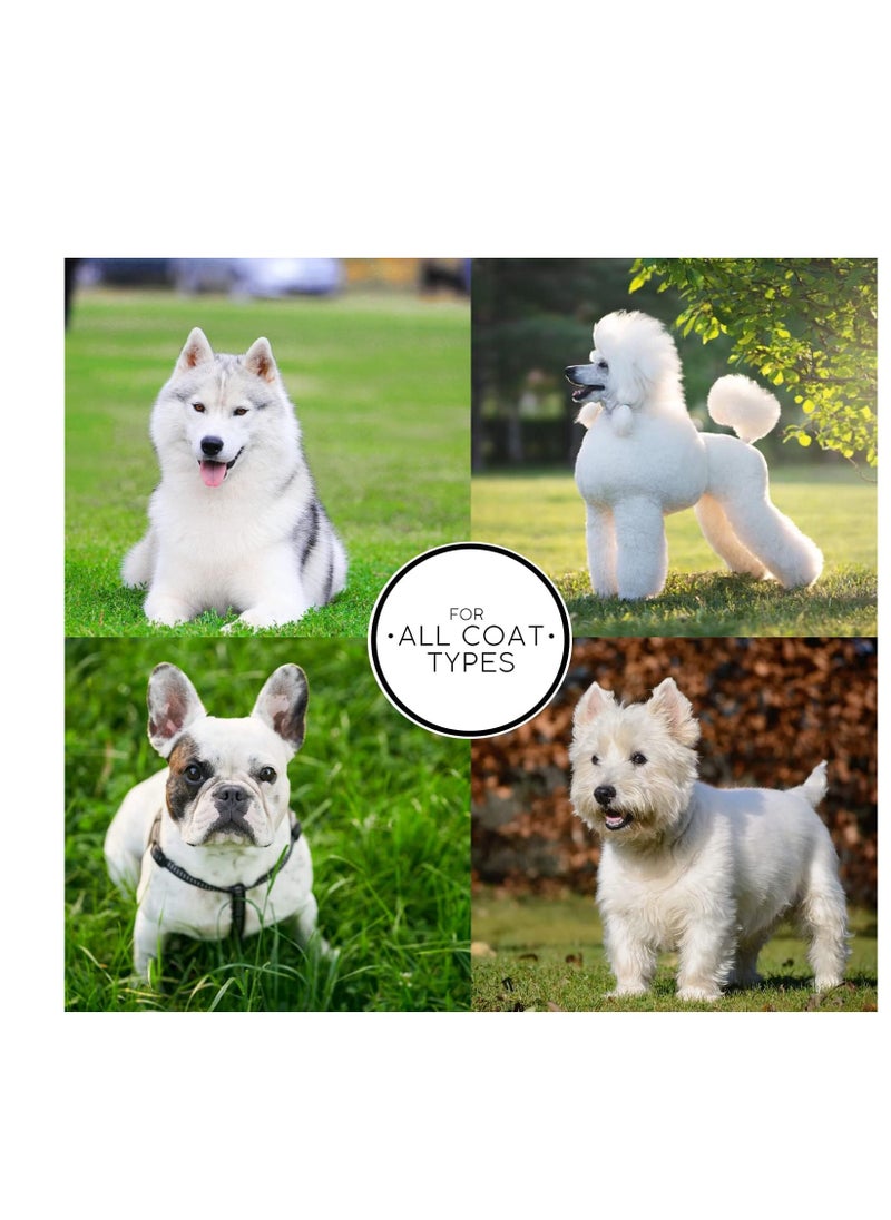 Chris Christensen - Chris Christensen White on White Whitening Treatment Dog Shampoo, Groom Like a Professional, Brightens White, Safely Removes Yellow & Other Stains, All Coat Types, Made in USA, 16 oz. - Image 1