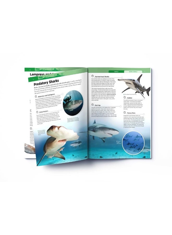 Animals - Marine Animals : Knowledge Encyclopedia For Children | Published by Wonder House Books | Paperback - Image 4