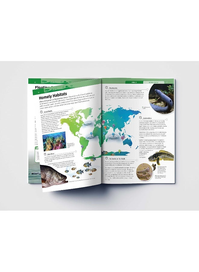 Animals - Marine Animals : Knowledge Encyclopedia For Children | Published by Wonder House Books | Paperback - Image 5