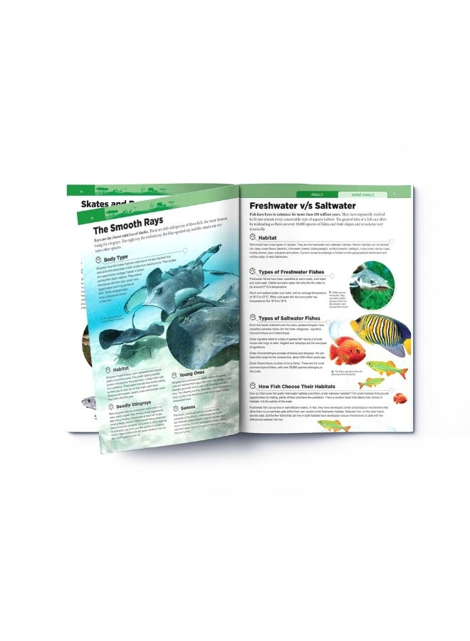 Animals - Marine Animals : Knowledge Encyclopedia For Children | Published by Wonder House Books | Paperback - Image 2