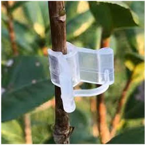 Siddhi Garden Plant Grafting Clip 20 Pcs / 4 to 6mm Grafting Clip Black/Plant Straightener Clip - Image 4